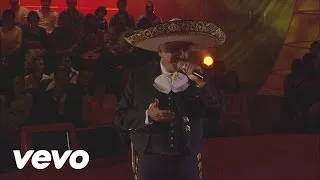 Vicente Fernández - Bésame Mucho (En Vivo)