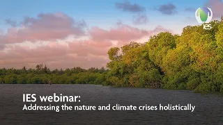 Addressing the nature and climate crises holistically