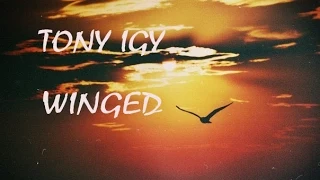 Tony Igy - Winged (Original Remix)