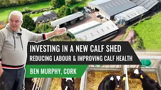 Investing in a New Calf Shed: Reducing Labour and Improving Calf Health, Ben Murphy, Cork