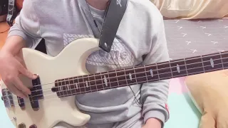Live forever - Oasis | Bass cover