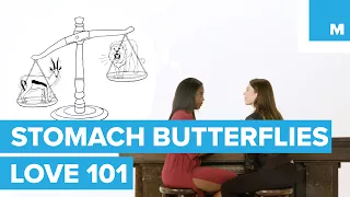 The Science Behind Butterflies | Love 101