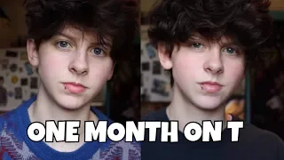 1 MONTH ON T- FTM TRANSGENDER  | NOAHFINNCE