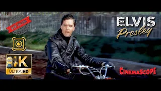 Elvis Presley AI 4K Enhanced / Stabilized - Wheels on My Heels (1964) New settings ⚙️