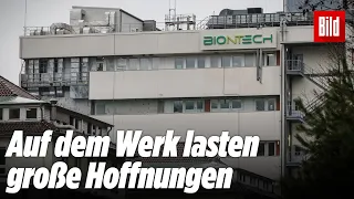 Biontech: Neues Werk in Marburg startet Impfstoff-Produktion