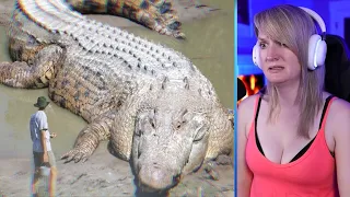 15 Abnormally Large Crocodiles That Actually Exist Part 1 | Pets House