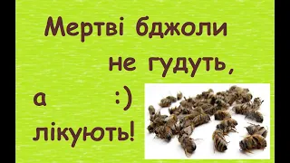 Підмор, або "Мертві бджоли не гудуть, а лікують"