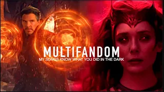 Multifandom - Light'em up [ HBD Syau ]