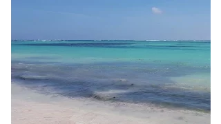 Punta Cana 2016 - Occidental Caribe (Barcelo)