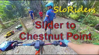 Slider to Chestnut Point