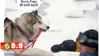 Eight Below Movie Review/Summary In Hindi/Urdu