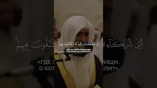 Сура 16 Ан-Нахль. Сальман аль-Утайби