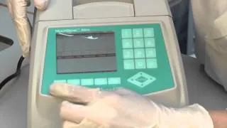 Setting up the PCR reaction
