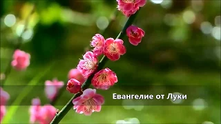 Евангелие от Луки / Глава13