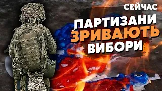 🔥Почалося! Партизани ПАЛЯТЬ бази РФ. Київ дав КОМАНДУ підпіллю - Братчук