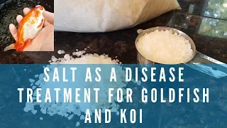 Using Salt As A Disease Treatment For Koi And Goldfish