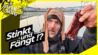 STINKT und FÄNGT Raubfische !? | Der beste ANGELKÖDER !? | EISKALT Angeln am Fluss