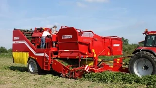 GRIMME SE 150-60 | trailed Potato Harvester