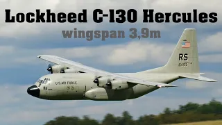 Lockheed C-130 Hercules | 3,9m giant scale RC airplane | 4K | Nesvacily 2022