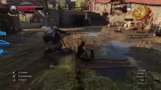 Geralt's Of Rivia brutal kill -The Witcher 3 (PS4)