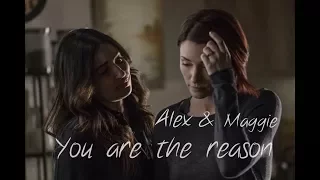 Alex & Maggie "You are the reason"