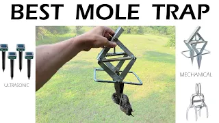 Best Mole Trap to Buy - Compare Top 3
