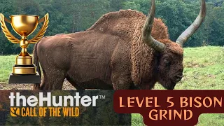 Silver Ridge Peaks Bison Hunt Grind for a Diamond Lake Hotspots theHunter Call of the WIld