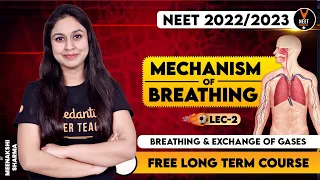 Breathing and Exchange of Gases Class 11 #2 | Mechanism of Breathing | NEET 2022-23 | NEET Biology