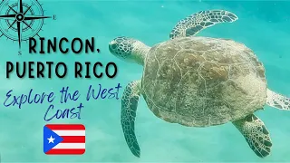 RINCON, PUERTO RICO! SURF, SNORKEL, RELAX, REPEAT. THE WEST IS THE BEST! Plus AGUADILLA AND ISABELA