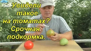 Увидели такое на плодах томатов? Срочно подкормите калием!