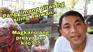 Siling Taiwan, Pang limang harvest.. Magkano ang presyo per kilo??