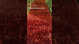 Laced Redwood Burl