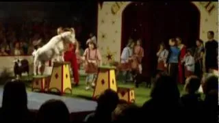 Zirkus Rasch II , Schulprojekt der 3a