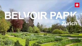 LIVE!!! A Walk Through Belvoir Park, Zurich, Switzerland 🇨🇭 Unedited Experience