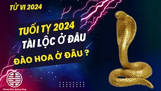 Tuổi Tỵ 2024, tử vi tuổi Tỵ 2024 làm ăn được không ? Phong thuỷ Quảng Tòng