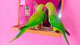 Ghar Pe Ye Parrot Kahase Aagye is live!