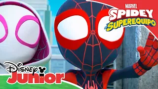 Marvel Spidey y su superequipo: Gatita monstruosa | Disney Junior Oficial