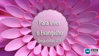 Para Viver o Evangelho 110 - Estudo da obra "Boa Nova" cap. 26