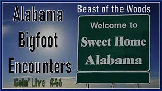 Alabama Bigfoot Encounters!