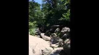 Parkour at central park