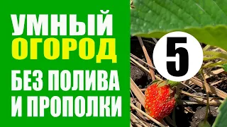 Умный Огород - 5 ч. Мульчирование + Ответы на вопросы. Урожайный Огород