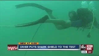 Diver puts shark shield to the test