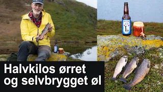 Halvkilos ørret i Rennebu / Trout fishing in Rennebu, Norway