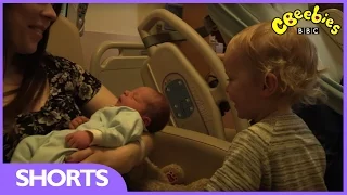 CBeebies: My First - Baby Brother