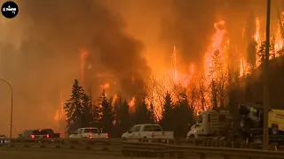 Forest Fire Near Residential Areas Very Dangerous Caught on Camera - Natural Disaster | FreeFall