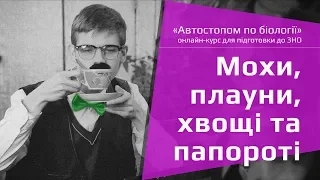 Мохи, плауни, хвощі та папороті – Підготовка до ЗНО – Біологія