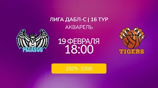 D 05-06. Пегасы vs. Тигры