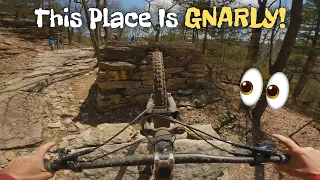 Escaping Death at Lake Leatherwood Bike Park in NWA - Mistakes Were Made