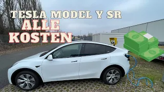 Tesla Model Y SR Kostenübersicht / Das kommt auf Dich zu! (Kauf, Versicherung etc.)