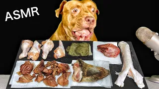 ASMR Mukbang Pitbull Eating Raw Foods Deer ears Rabbit head Wild boar meat